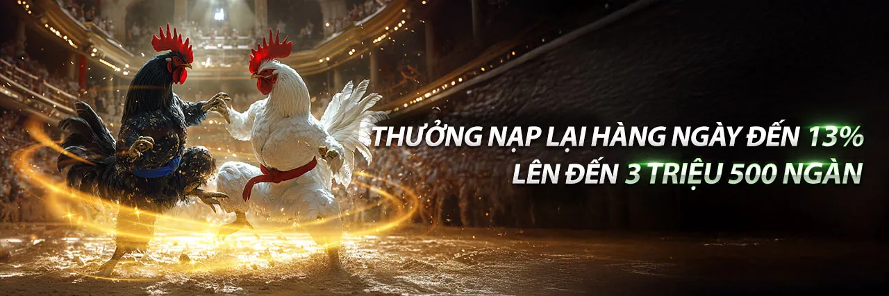 Banner khuyến mãi thể thao ft88